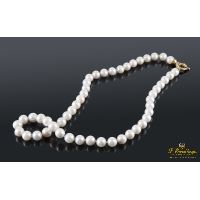 Collar perlas cultivadas broche oro amarillo