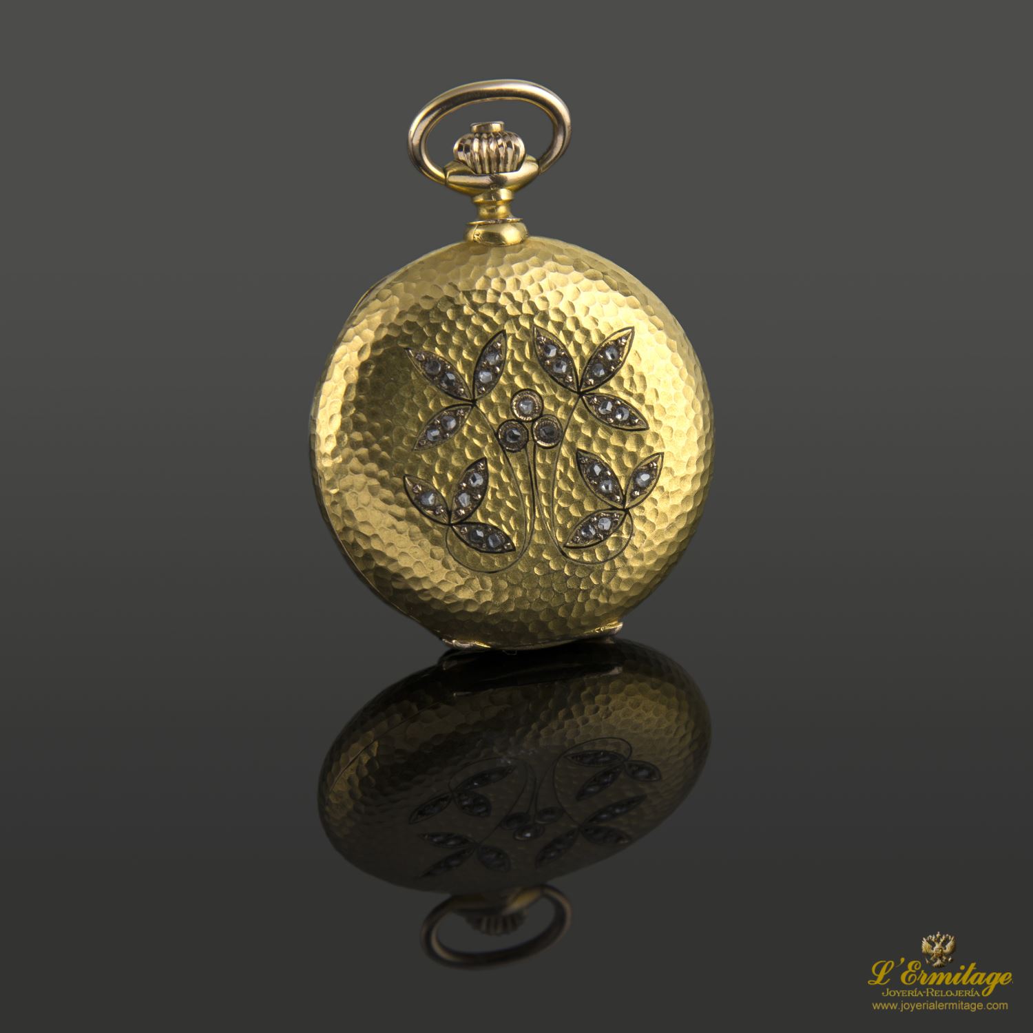 Reloj nevada de bolsillo  