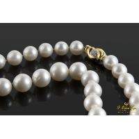 Collar perlas australianas degrade